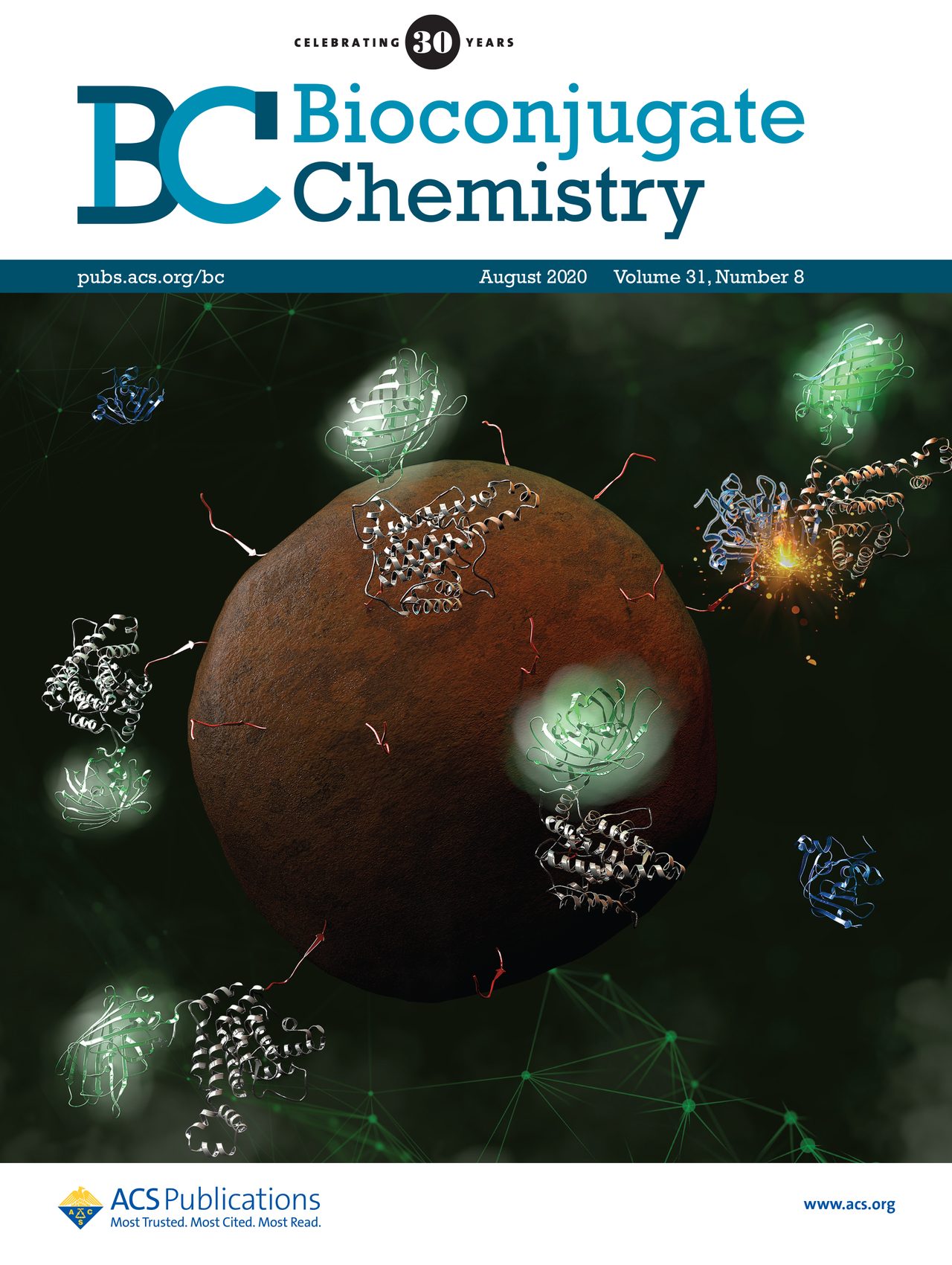 Bioconjugate Chemistry journal cover