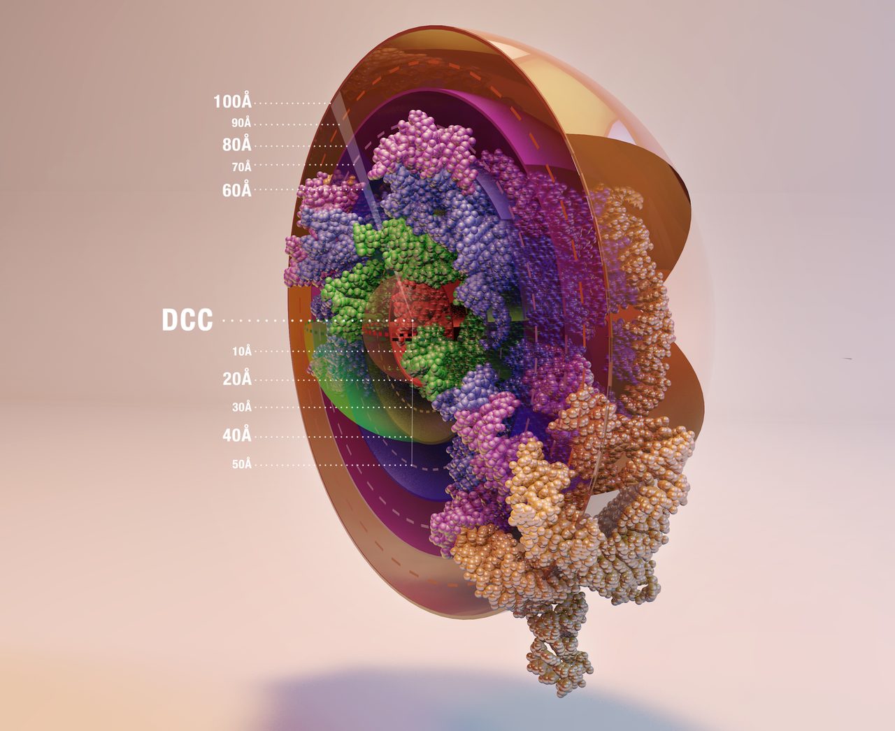 Molecular structure illustration